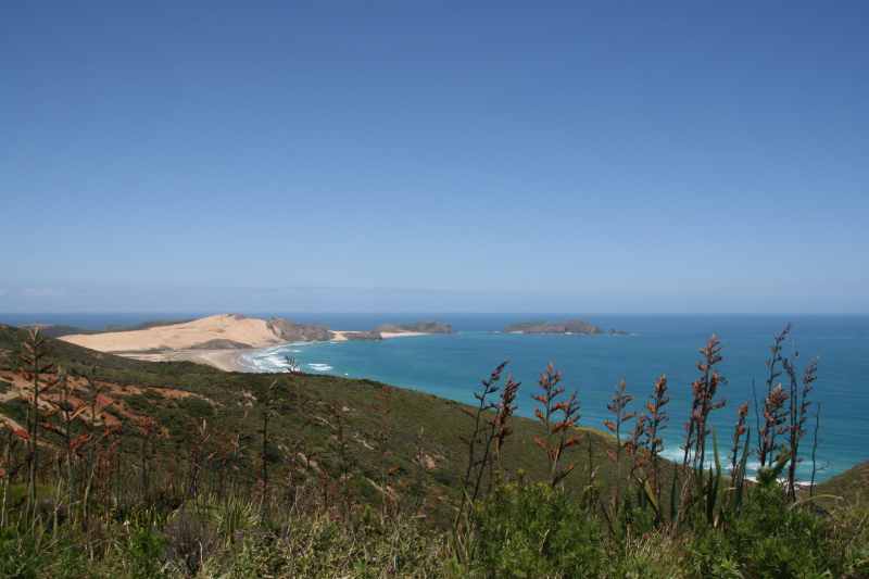 Nieuw-Zeeland 2011 - 0329